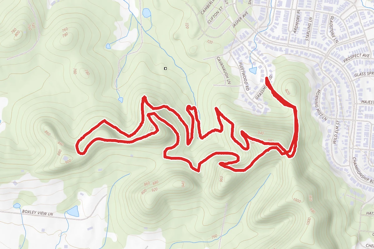 Heartbeat and Grey Trail