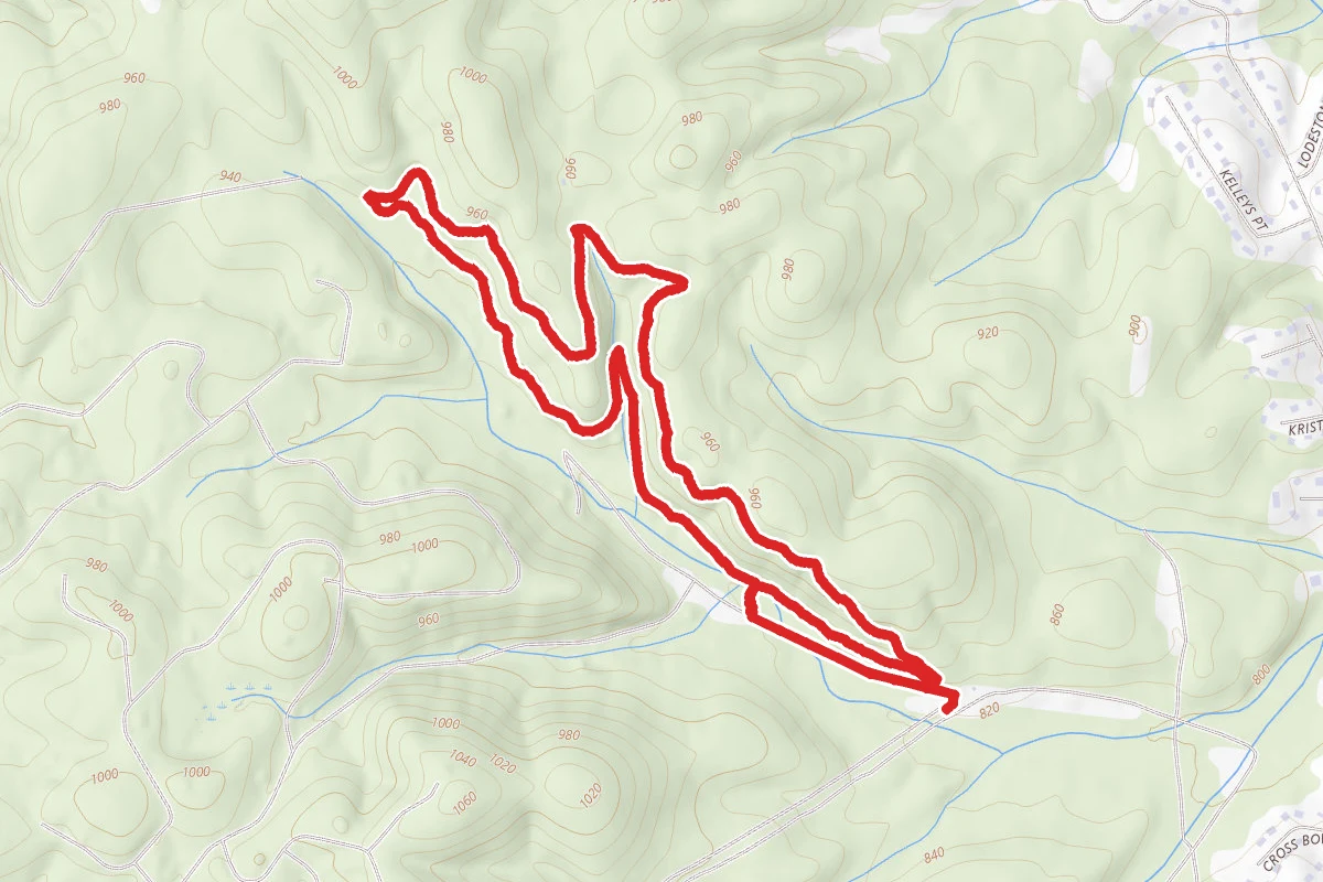 Log Rythm Mountain Bike Trail