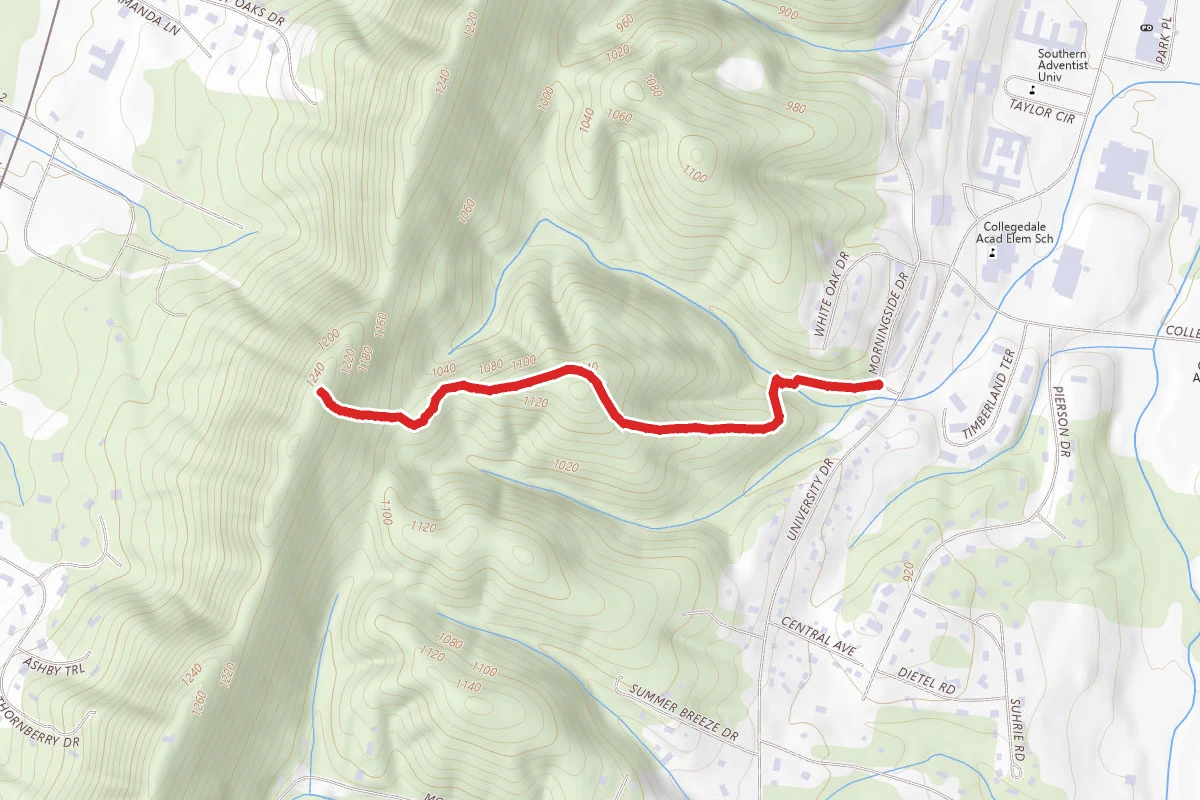 Christmas Trail