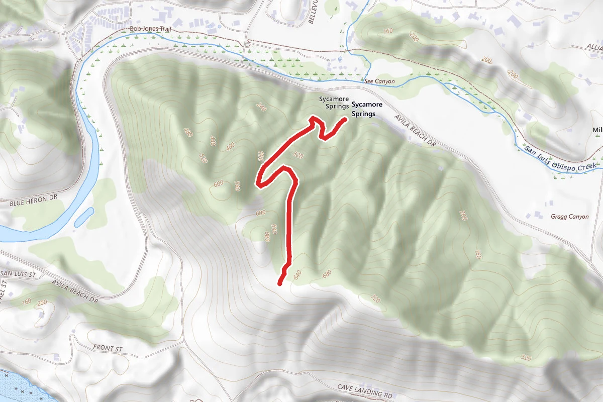 Sycamore Crest Trail