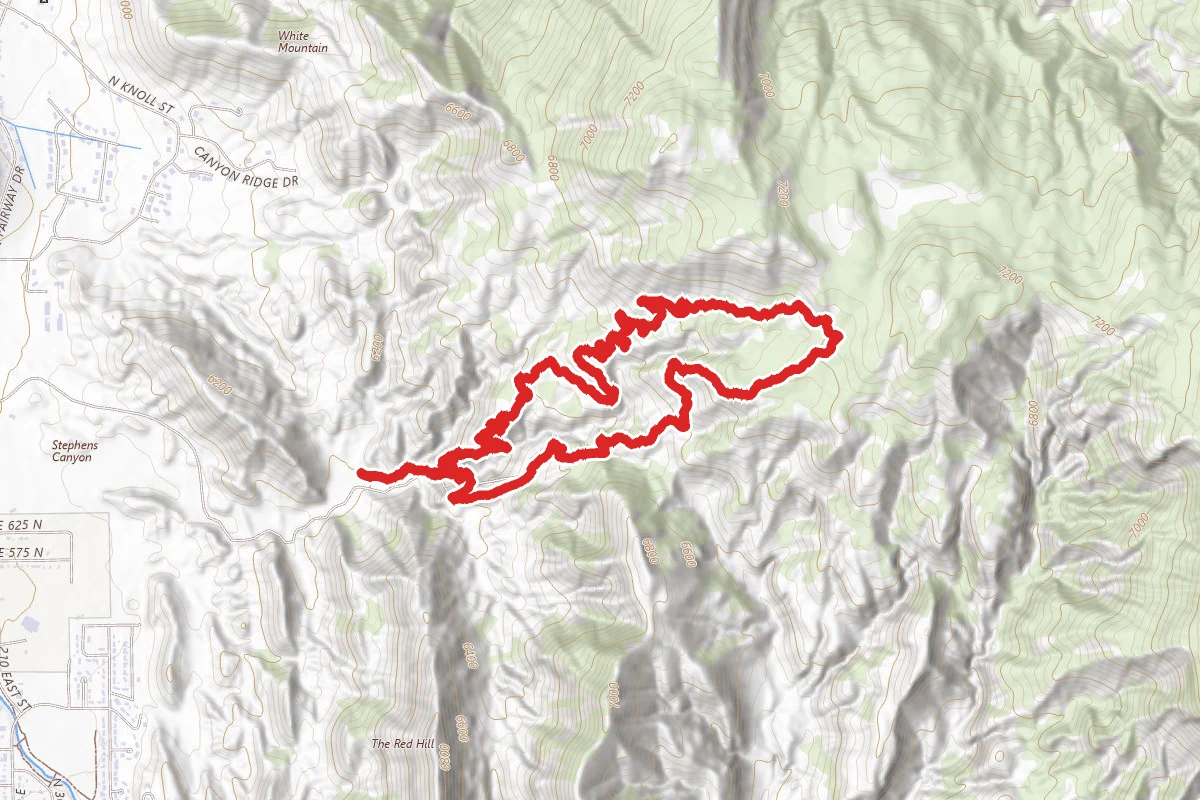 Lightning Switch Trail Loop