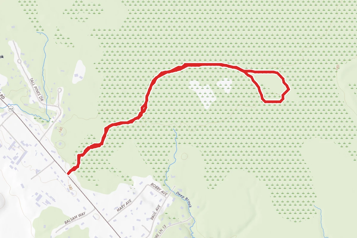 Saco Heath Preserve Trail