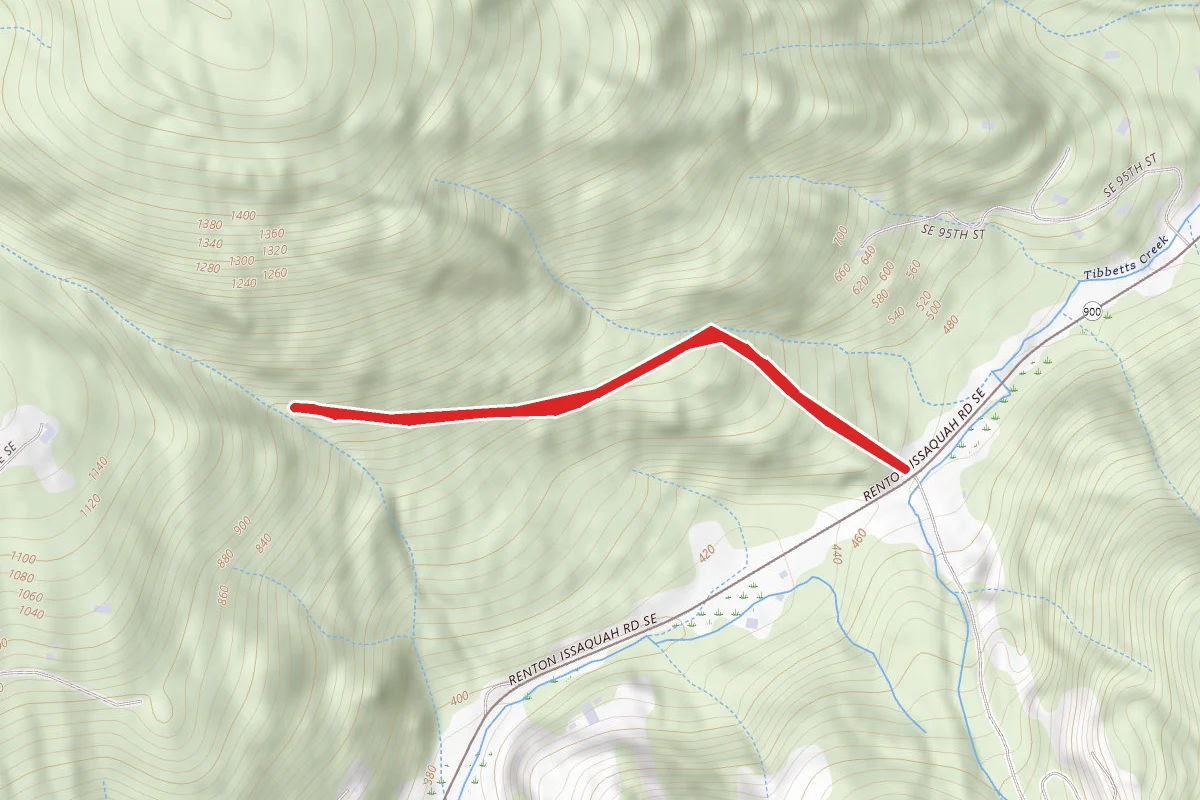 Squak Mountain Connector Trail to Wilderness Creek