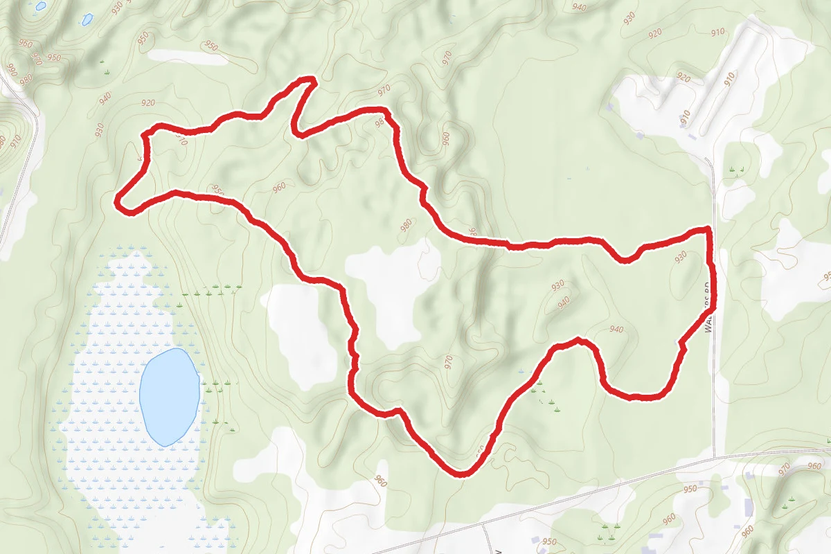 McMiller Blue and Green Trails Loop