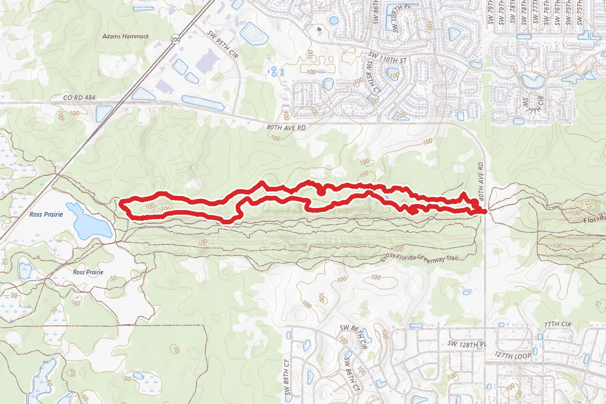 Marjorie Harris Carr Cross Florida Greenway Loop