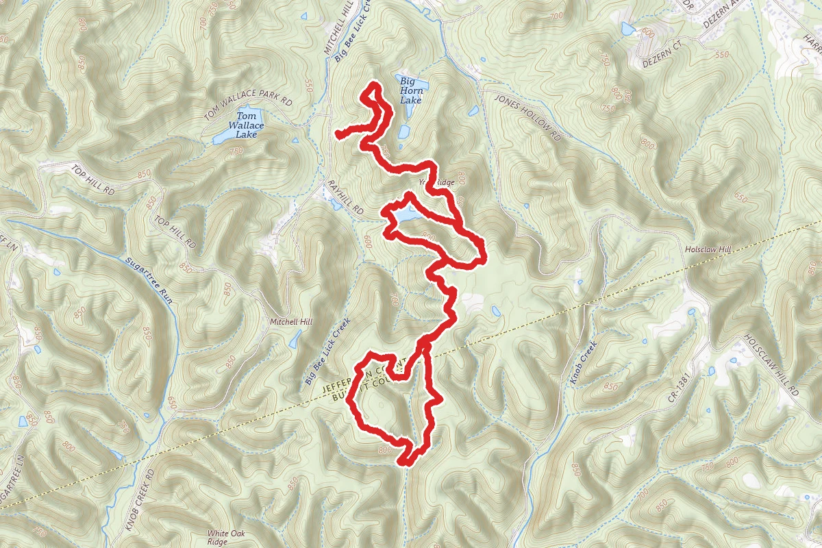 Yost Ridge, Mitchell Hill Lake Loop, and Orange Trail Loop