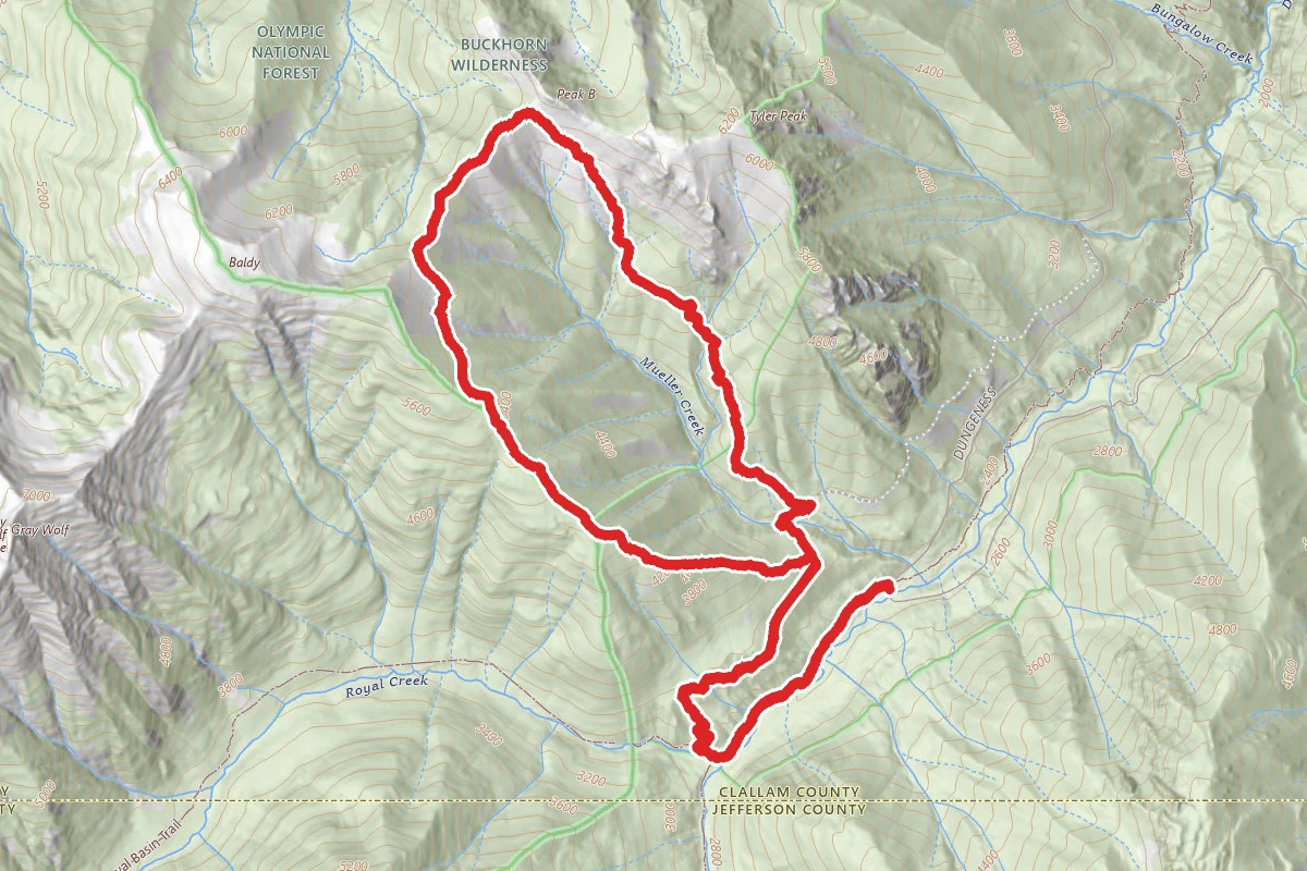 Upper Maynard Burn Way Trail