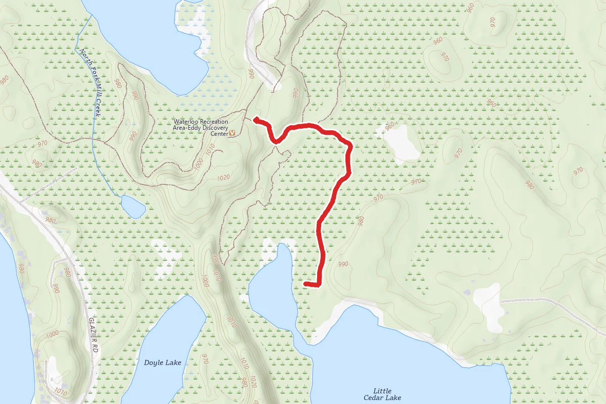 Waterloo Bog Trail