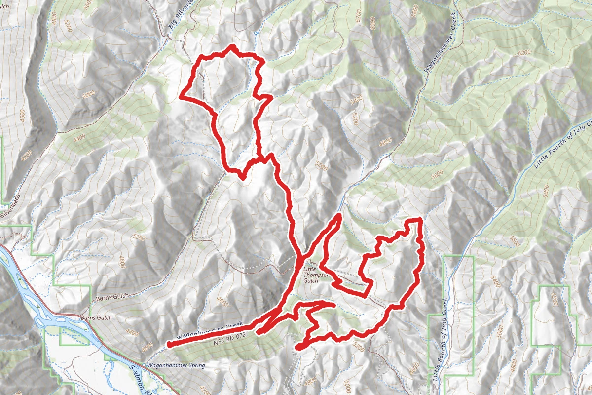 Wagonhammer - Elk Trail Loop