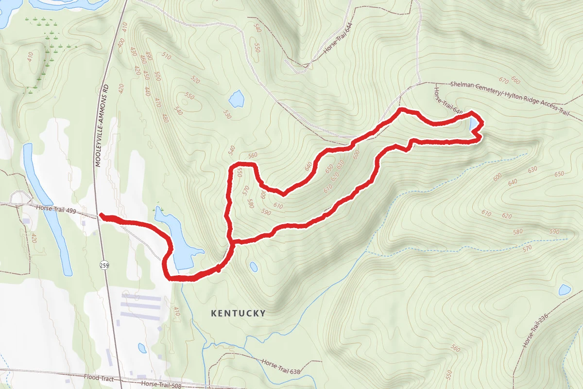 Yellowbank Wildlife Management Area Trail