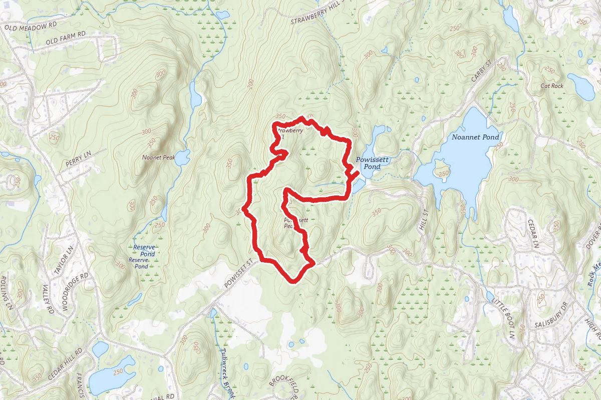 Strawberry Hill Peak and Powisett Pond Loop