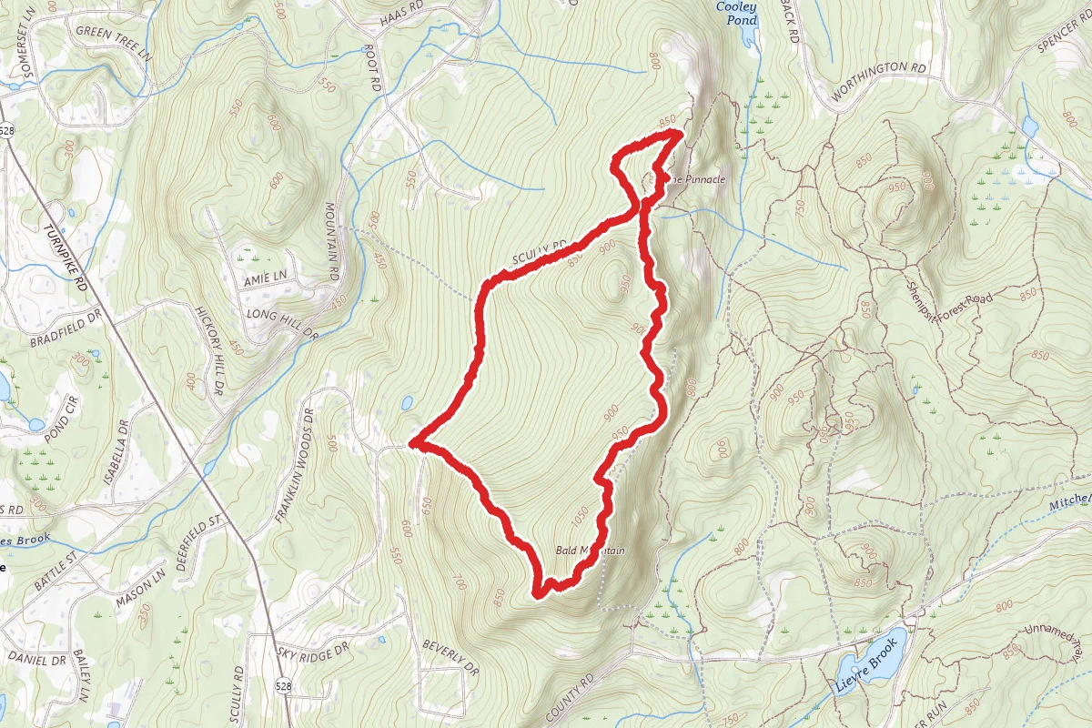 Bald Mountain and The Pinnacle Loop