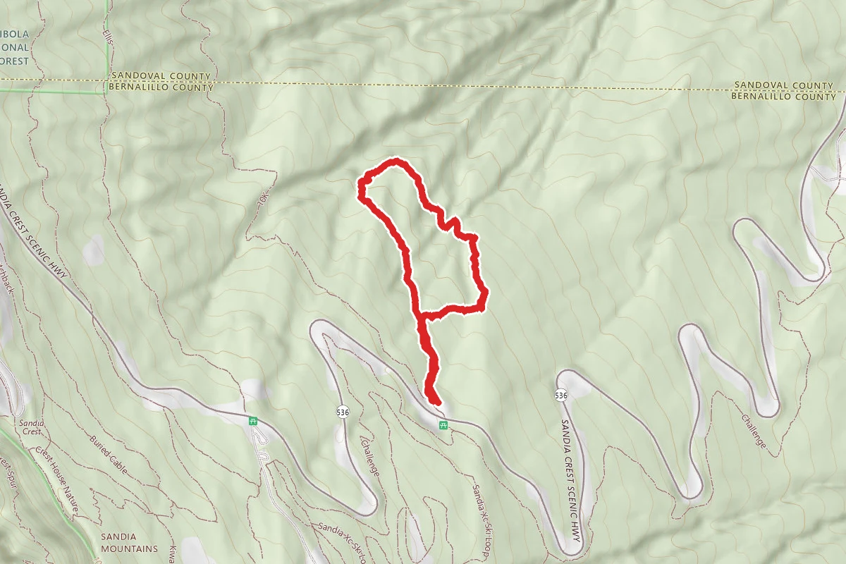Capulin Trail #234A