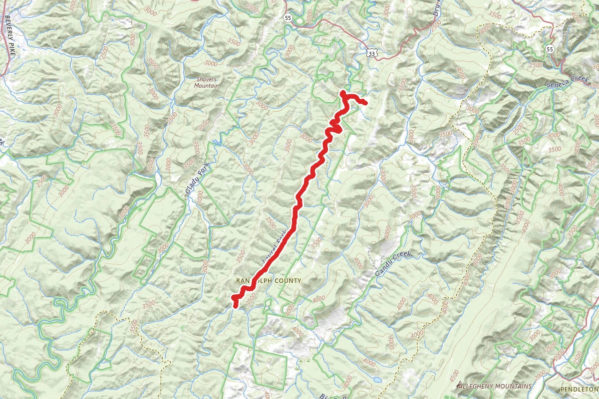 Laurel Fork Trail