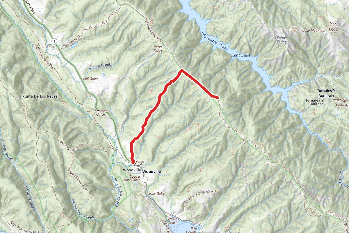 McCurdy Trail