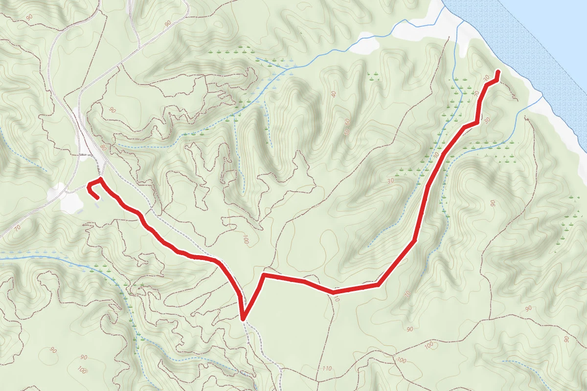 Majestic Oak Trail Via Meh Te Kos Bridle Tril