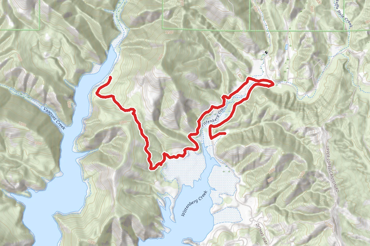 Encinal and Wittenberg Trail