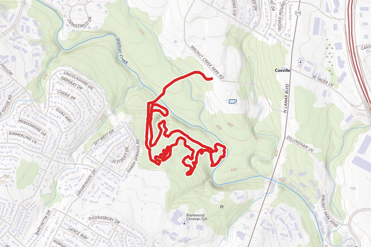 Tangle of Trail and Mark's Art Loop