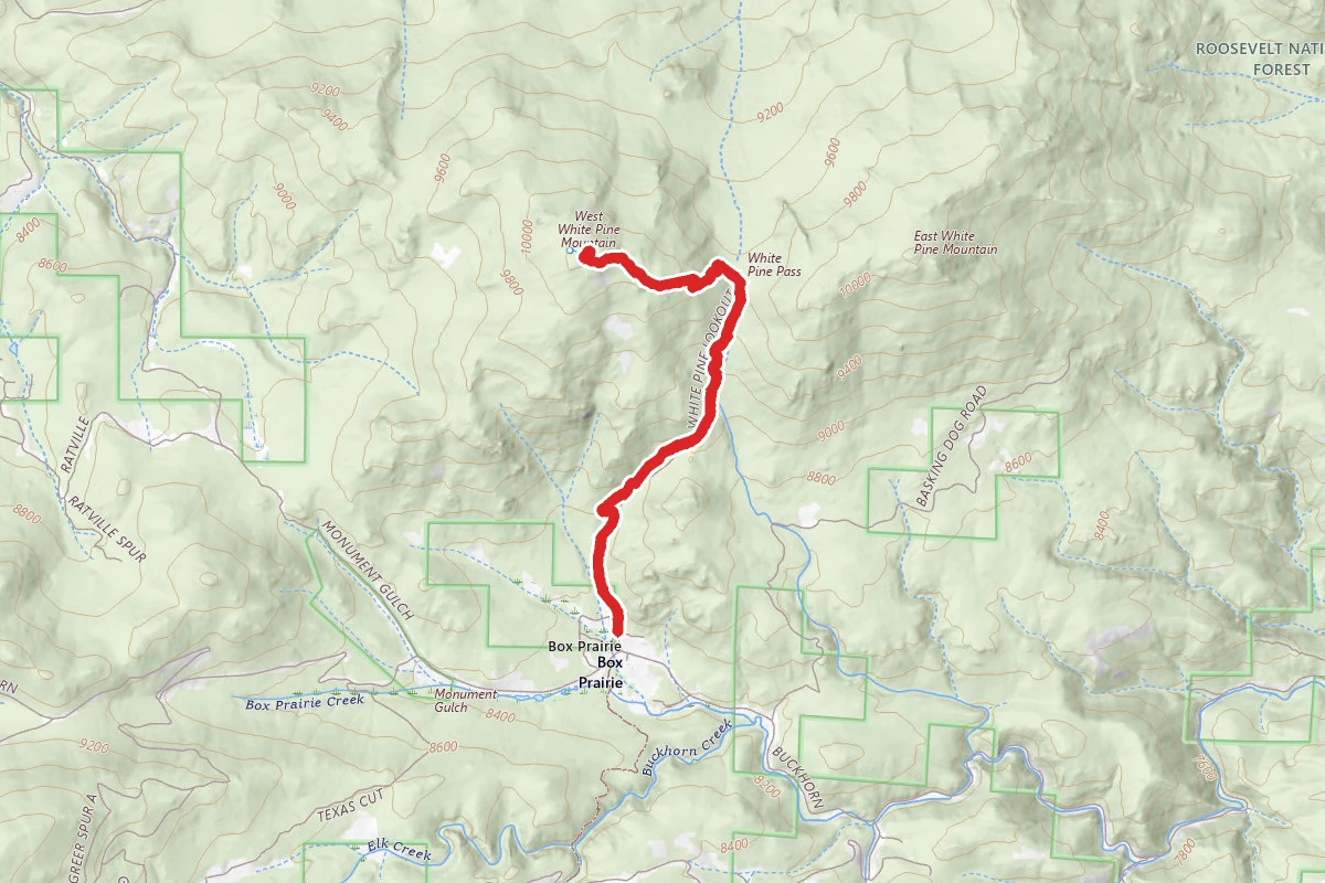 West White Pine Mountain Trail