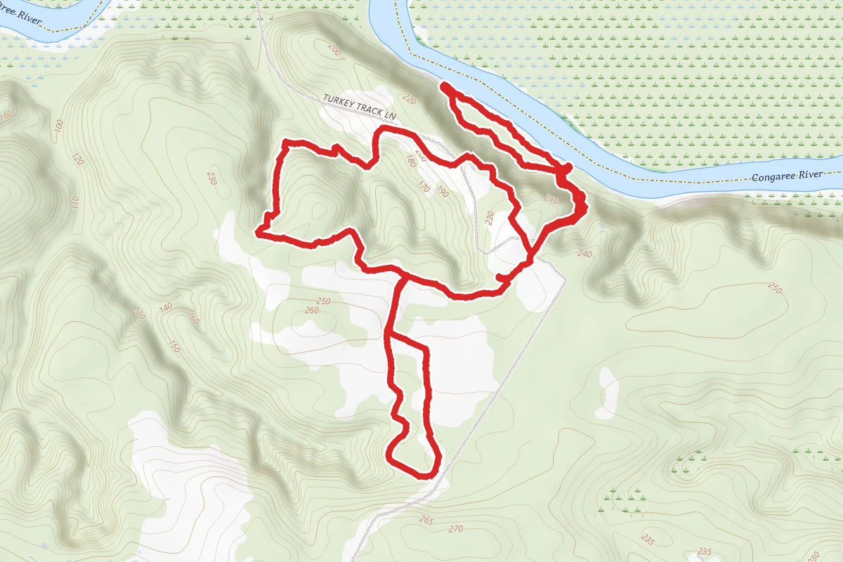 Congaree Bluffs Heritage Preserve