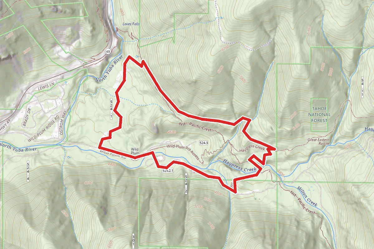 Loves Falls via Wild Plum Loop Trail