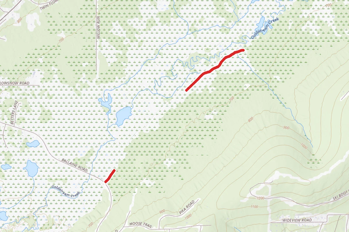 Goldstream Winter Trail