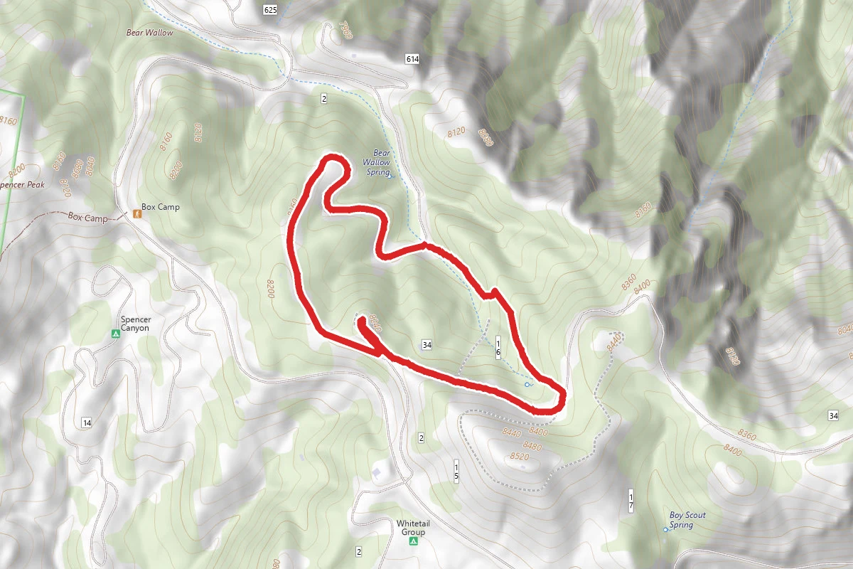 Bear Wallow Spring and Kuiper Observatory Loop