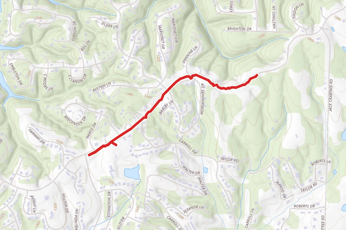 Mulligan Trail