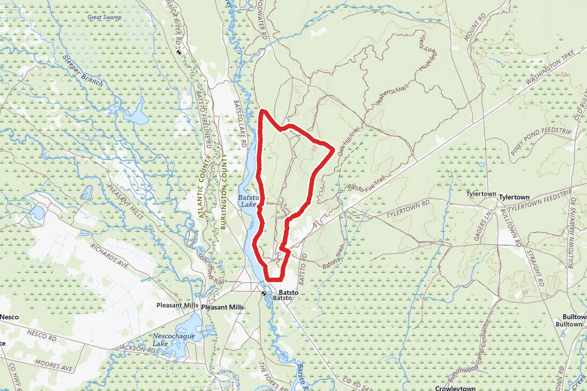 Batsto Lake Trail