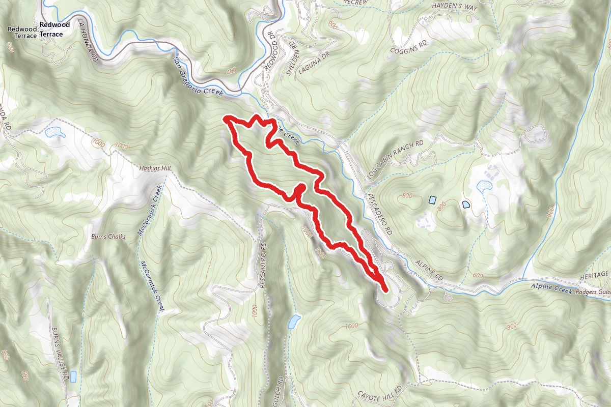 Old Stage Road, Uncle Man Road, and Youth Camp Trail