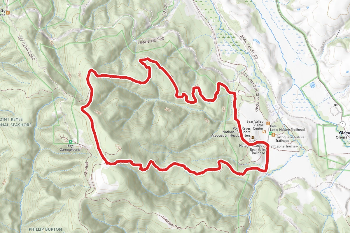 Bear Valley Morgan Loop