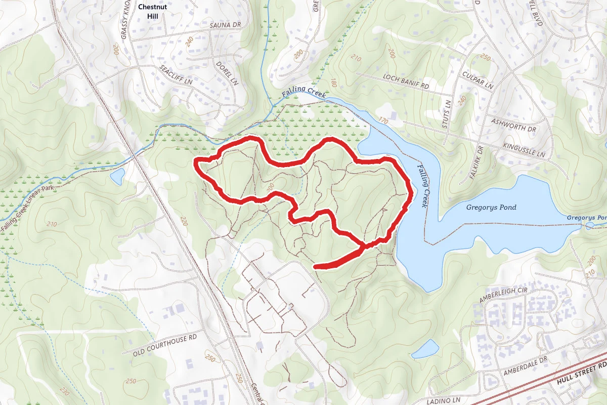 Rockwood Park Trails
