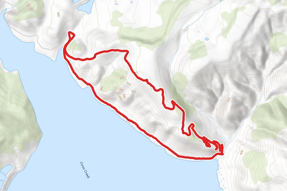 Sam the Eagle to Shoreline Trail