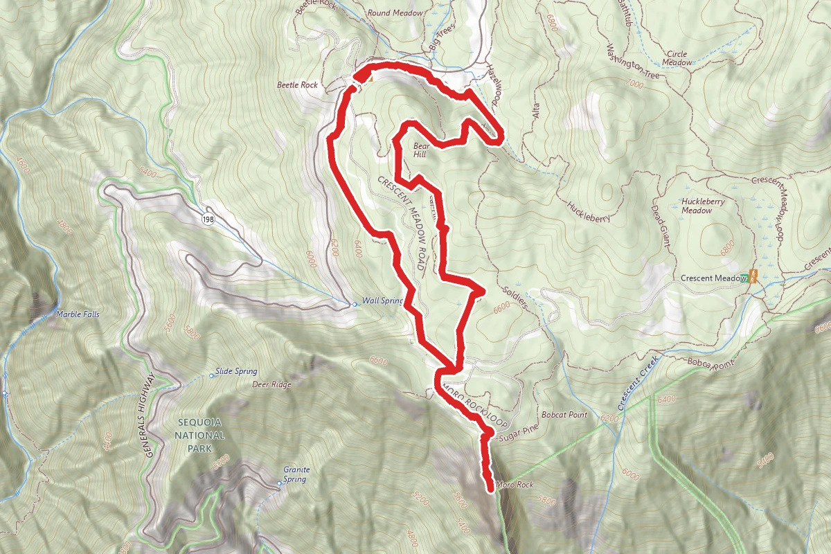 Bear Hill Trail to Moro Rock Trail Loop