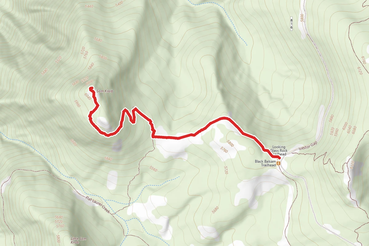 Sam Knob Trail