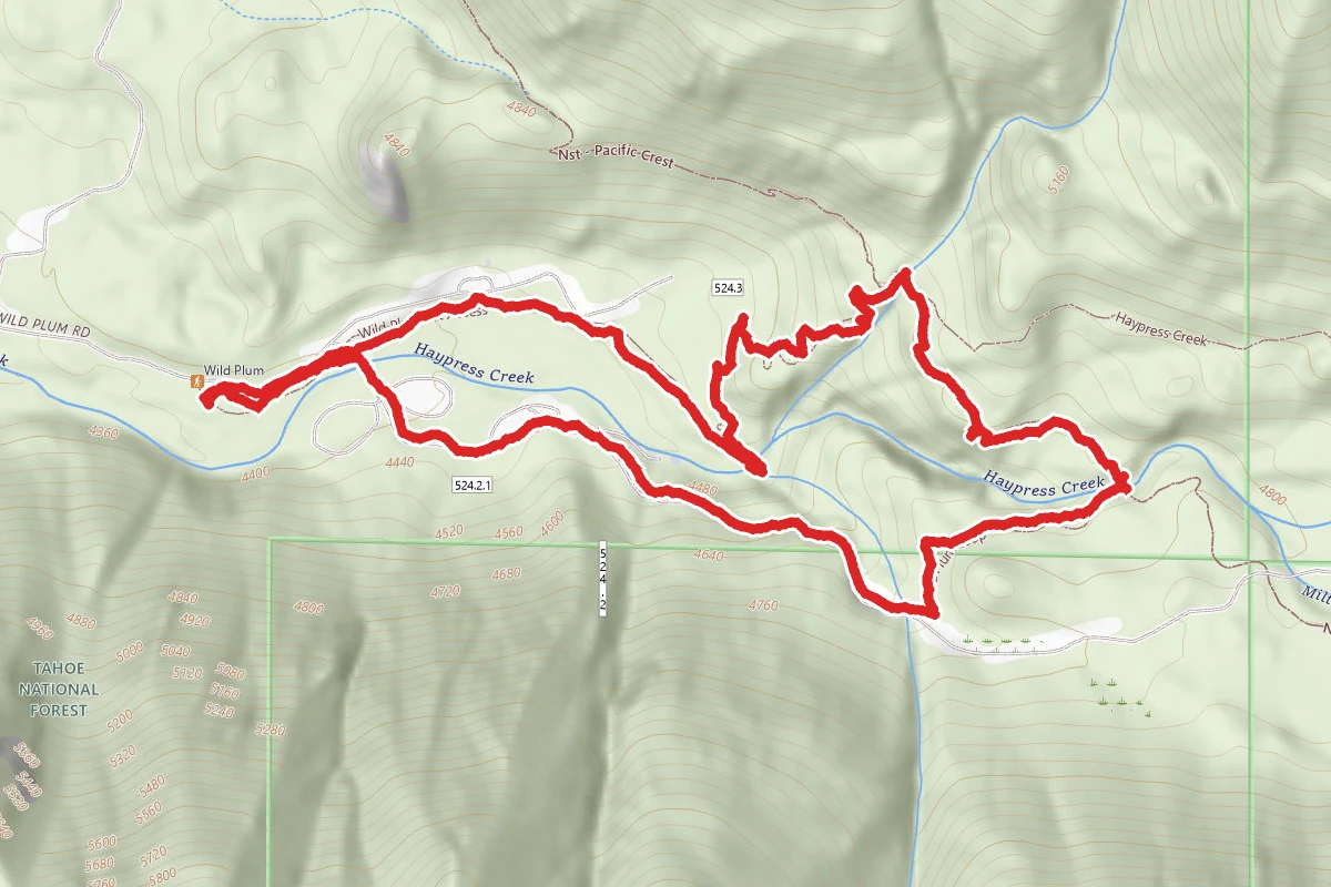 Haypress Creek Trail