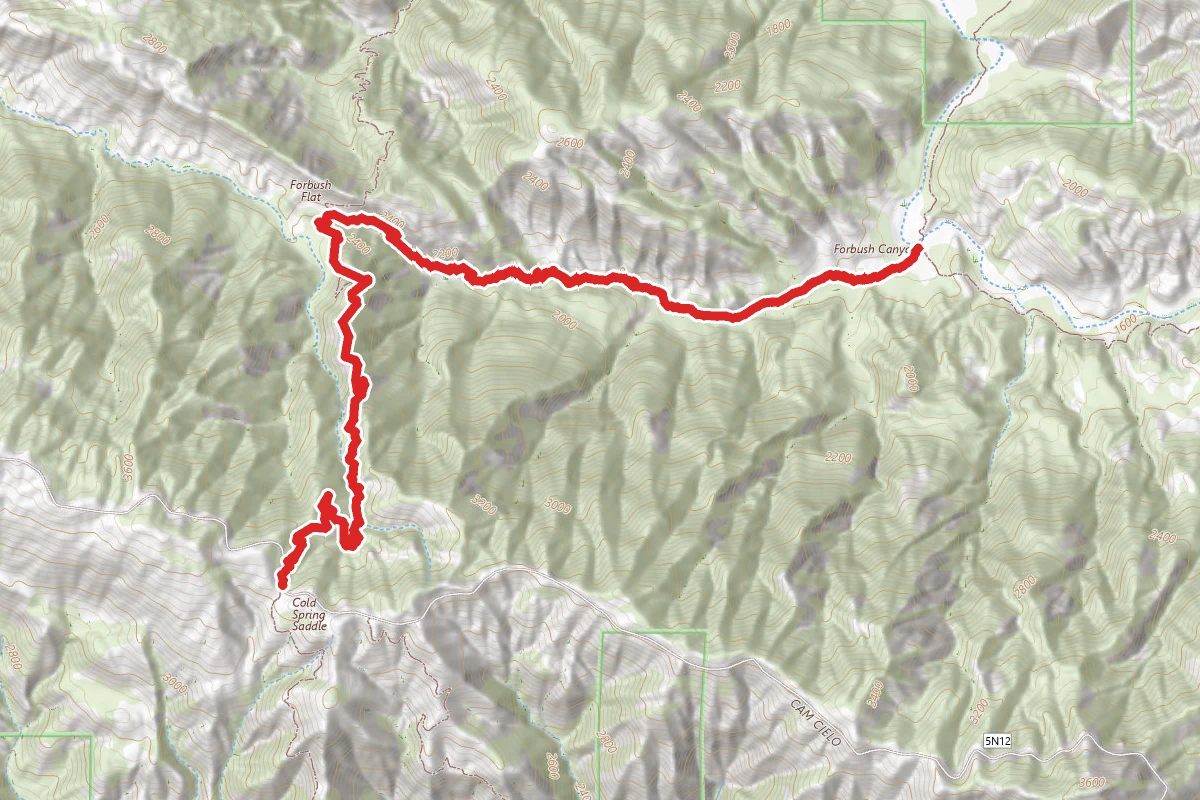 Forbush Flat and Cottam Camp via Blue Canyon Trail