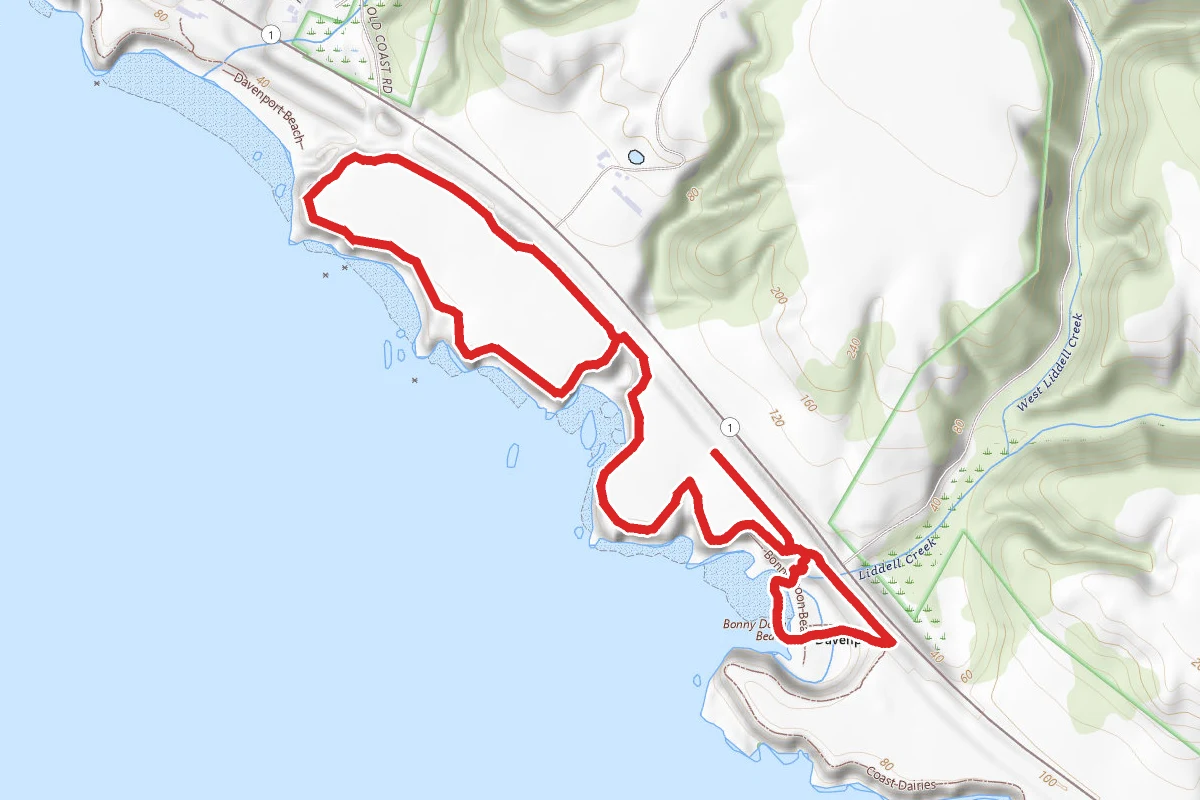 Bonney Doon Beach and Shark Fin Cove Loop