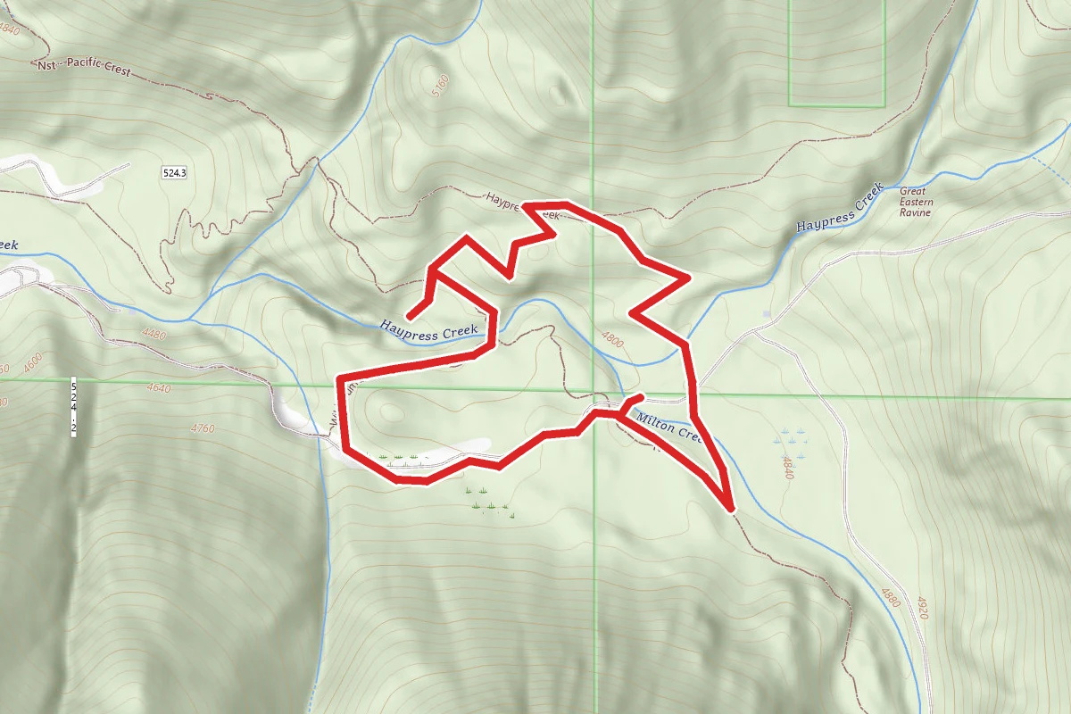 Wild Plum Loop Trail