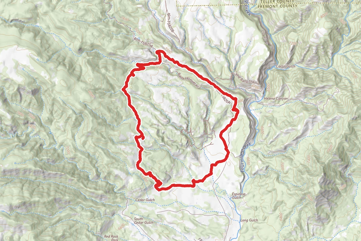 The Bank Loop