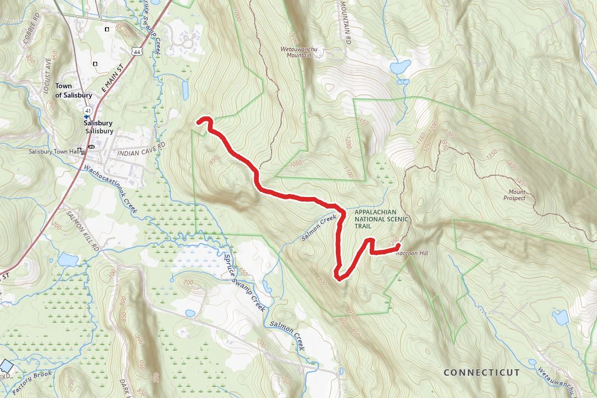 Raccoon Hill