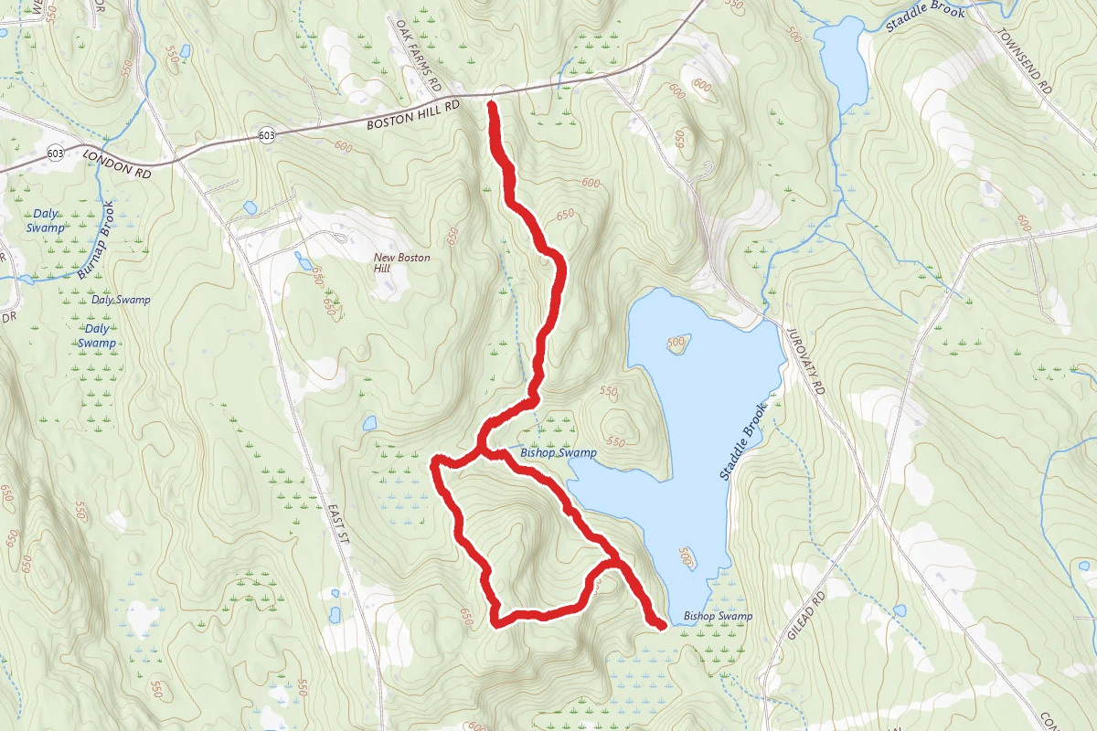 South Loop to Bishop Swamp