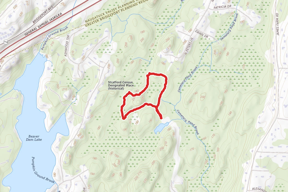 Roosevelt Forest Short Loop