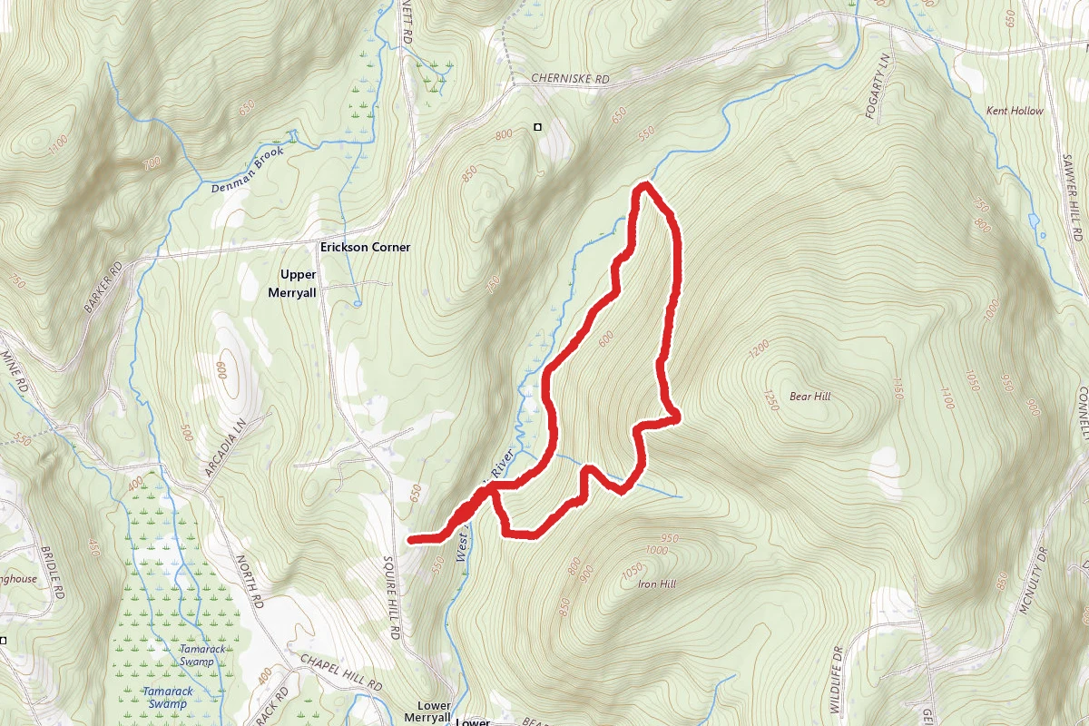 Bear Hill and Beaver Pond Loop