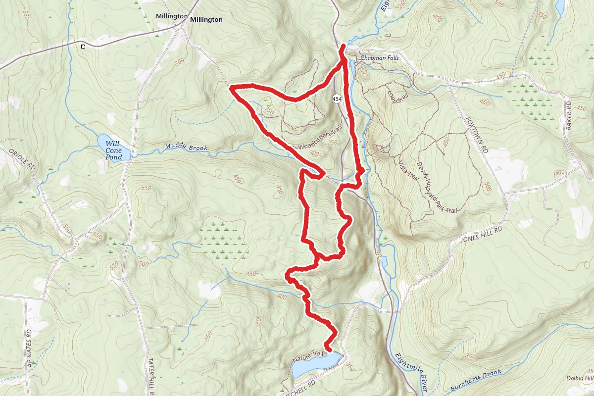 Witch Hazel Trail via Millington Loop Trail