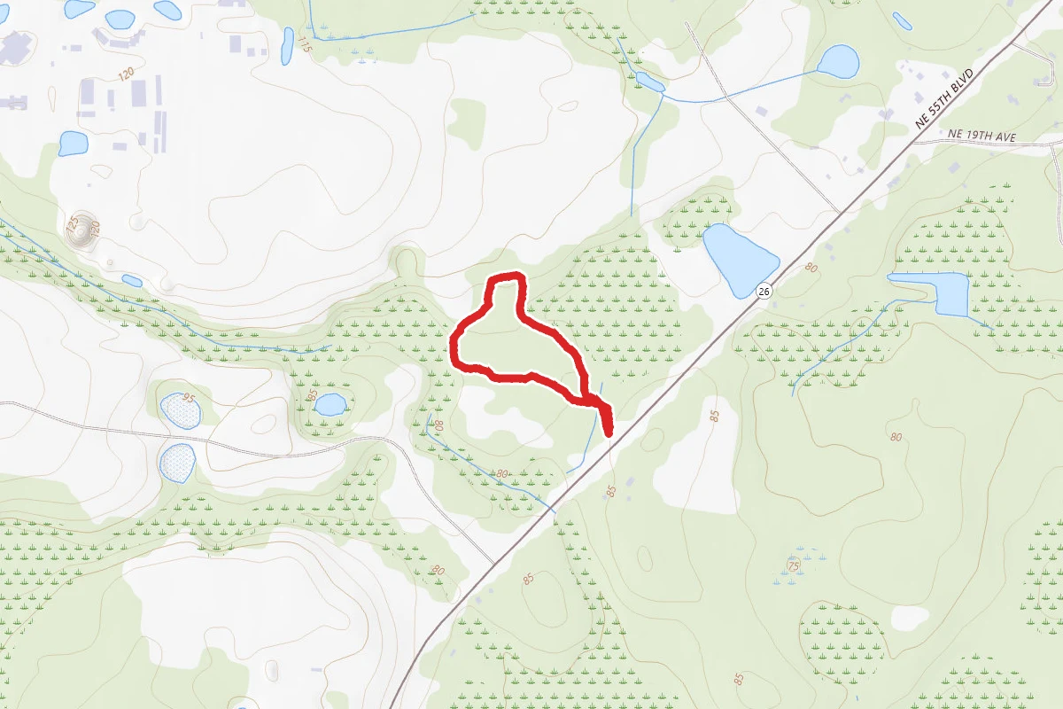 Newnans Lake State Forest West Trail