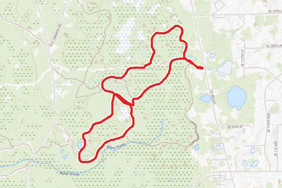 Black Prong Blue Trail