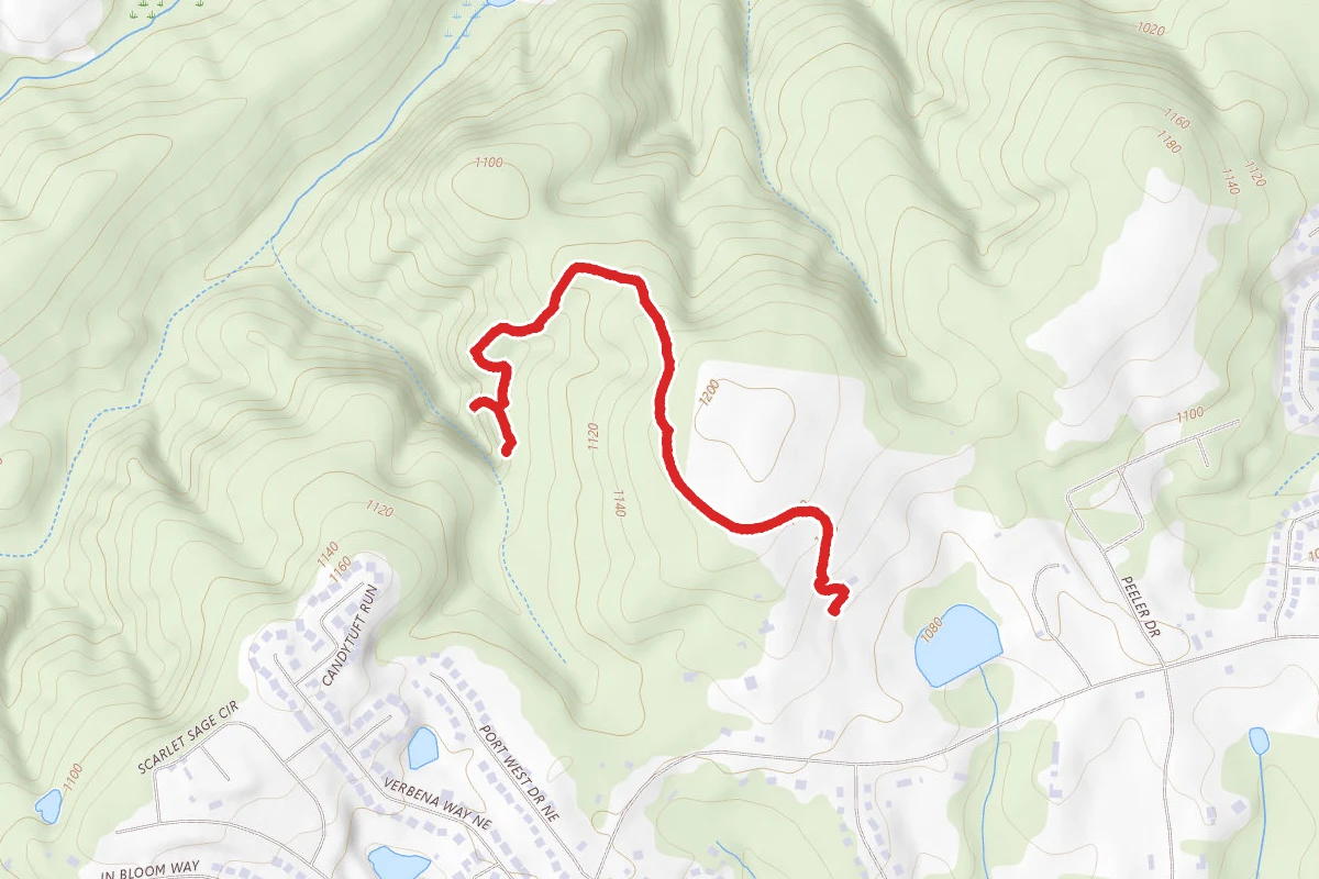 W Meadow and Ravine Loop Trail