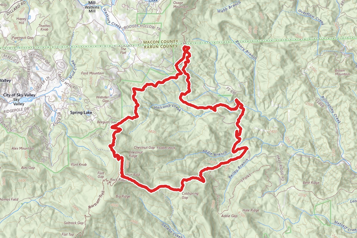 Half Ridge, Bartram, Rabun Bald, and Holcomb Creek Loop