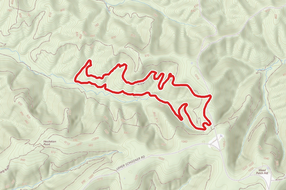 Bobcat Loop